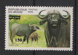 Delcampe - BENIN - 2000 - N°Mi. 1267 - Buffle 150F / 75F - Neuf Luxe ** / MNH / Postfrisch - Kühe