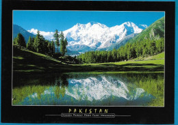 Pakistan - Postcard LC 283 Tourist Place " Nanga Parbat 8126m From Fairy Meadows" - Pakistan