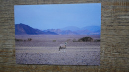 Namibia , Oryx ( Gemsbok ) Near Sesriem "" Beaux Timbres "" - Namibië