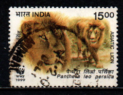 INDIA - 1999 - WWF: LEONI - USATO - Gebruikt