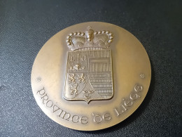Une Médaille De La Province De Liège - Professionals / Firms