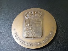 Une Médaille De La Province De Liège - Professionnels / De Société