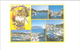 Delcampe - CASSIS  SON PORT SES CALANQUES  MULTIVUES   CHATS     ***     RARE    A  SAISIR *** - Cassis