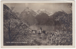 11575 Sisikon U. Urirotstock - (Schweiz/Suisse) - 1924 - Sisikon