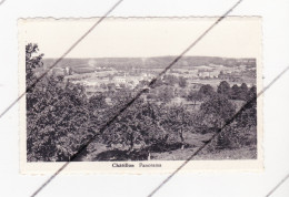 Châtillon ( Saint Léger ) - Panorama (B328) - Saint-Leger