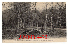 CPA - La Forêt Du GAVRE ( Loire-Inf.) - Route Du Coudray - Edit. J. Nozais N°33 - Le Gavre