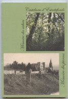 Castelnau D'Estrétefonds,  Haute-Garonne, Mémoire Des Arbres, Des Pierres,monuments, Maisons,parc,par Carbonaro - Midi-Pyrénées