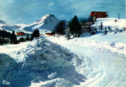 BELLEVAUX -74- PLATEAU D'HIRMENTAZ - LES CHALETS - Bellevaux