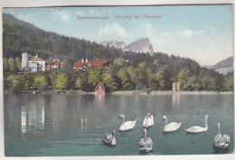 C7672) Salzkammergut -. BERGHOF Bei UNTERACH - Schwäne Bootshaus Häuser ALT ! 1912 - Attersee-Orte