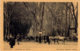 FRANCE - 34 - SAINT PONS - Promenade Du Foirail - Carte Postale Ancienne - Saint-Pons-de-Mauchiens