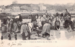 FRANCE - 35 - CANCALE - Travail Des Huîtres Dans Les Parcs - LL - Carte Postale Ancienne - Cancale