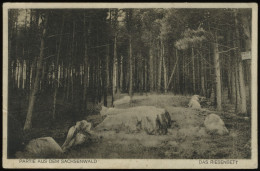 (B3388) AK Sachsenwald - Das Riesenbett, SCHWARZENBEK 1935 - Schwarzenbeck