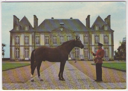 GF (61) 032, Exmes, Le Haras Du Pin, Le Pin Au Haras « Cotentin » Trotteur - Exmes