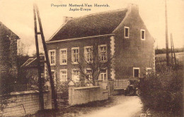 BELGIQUE - Dreye - Propriété Mottard-Van Hezvick  - Carte Postale Ancienne - Andere & Zonder Classificatie