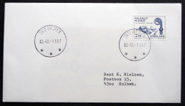Greenland  1987 Letter  PITUFFIK 2-1-1987 ( Lot  871 ) - Brieven En Documenten