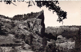 FRANCE - Régions - L'Auvergne - La Dent Du Marais Ou Saut De La Pucelle - Falaise - Carte Postale Ancienne - Auvergne