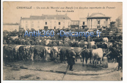 CPA 49 CHEMILLE Un Coin Du Marché Aux Boeufs - Chemille