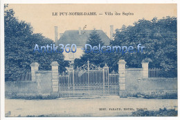 CPA 49 LE PUY NOTRE DAME Villa Des Sapins - Autres & Non Classés