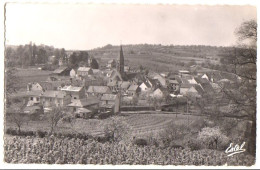 1955 ORGEVAL - Panorama Sur Le BOURG - Orgeval