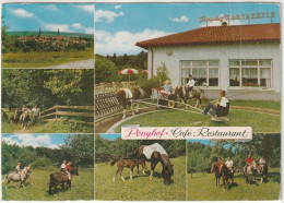 Neunkirchen, Ponyhof, Saarland - Kreis Neunkirchen