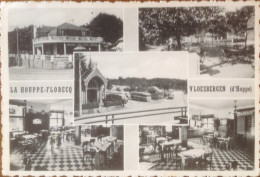 LA HOUPPE, Bois De Flobecq Vloesbergen : Chalet Gérard, Pension De Famille - Vloesberg