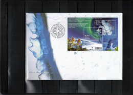 Finland 2007 International Polar Year Block FDC - Año Polar Internacional