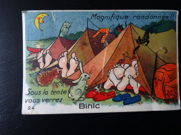 Carte Postale Fantaisie Système BINIC-22-Côte D'Armor-Sous La Tente-Tirette 10 Vues-Chouette-Lapin-Hérisson-Lune-3 SCANS - Binic