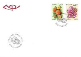 Island Iceland  2001 Summer Flowers (II), Marigold, Ice Plant   Mi 974-975 FDC - Cartas & Documentos