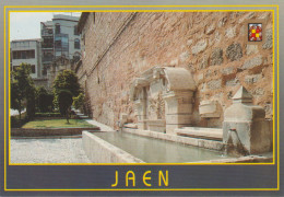 (U482) (1274) JAEN. FUENTE PUERTA DEL ANGEL ... UNUSED - Jaén