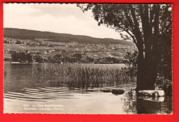 GLF-15 La Côte Neuchâteloise Auvernier Corcelles Peseux   Circulé 1941 - Auvernier