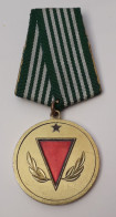 Albania Medal For Good Sevice To Nation, 100% Original - Otros & Sin Clasificación