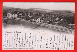 GLF-24  Souvenir De Bevaix  Vue Générale Et  Gare. Dos Simple. Circ. 1901 - Bevaix