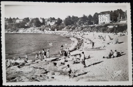 Delcampe - 22 - TREBEURDEN (C.du N.) - Postermen - Trébeurden