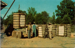 Black Americana Greetings From Dixie Bales Of Cotton REady For Market 1966 - Black Americana