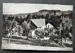 Ferienheim Waldruh Hohlenweg B. Riggisberg - Riggisberg 