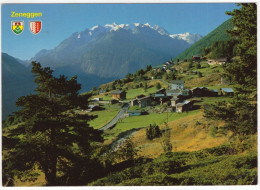 Zeneggen, 1371 M.  (Wallis) - G. Vispertal - Balfrin Und Mischabel - (Schweiz/Suisse) - 1984 - Zeneggen