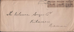 1895. HAWAII. 3-STRIPE TWO CENTS Honolulu On Comercial Cover (folds) To KILAUEA SUGAR CO, Kaua... (Michel 58) - JF439305 - Hawaii