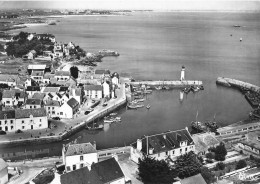 Quiberon * Vue Sur Port Haliguen * Café Du Midi - Quiberon