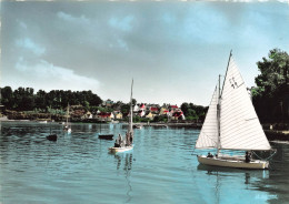 Ile Aux Moines * Vue Sur Le Port * Bateau Voilier - Ile Aux Moines