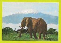 Eléphant Sous Le Kilimanjaro édition East Africa 1401 - Éléphants