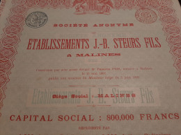 S.A.  Des Etablissements J.-B. Steurs Fils à Malines - Action Ordinaire De 250 Frs. Au Porteur - Malines Le 5 Juin 1897. - Navy