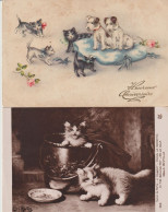 Lot 3 Cpa CHATS : 1x Chatons Et Chiots + 1x Chatons Dans La Marmite + 1x Chaton+ Pot De Fleurs: Illustr. Main ) - Katten