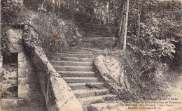 FRANCE - 52 - FAYL BILLOT - Bois Banal Escalier Taillé Dans Le Roc - Carte Postale Ancienne - Fayl-Billot