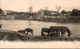 Villeneuve Les Berges De La Seine - Villeneuve La Garenne