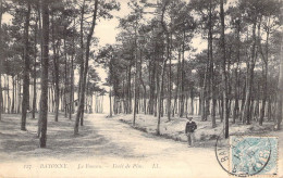 FRANCE - 64 - BAYONNE - Le Boucou - Forêt De Pins - LL - Carte Postale Ancienne - Bayonne