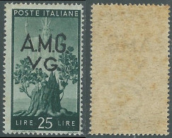 1945-47 TRIESTE AMG VG DEMOCRATICA 25 LIRE GOMMA MACCHIATA - RC23-5 - Mint/hinged