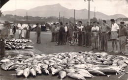 FRANCE - 64 - ST JEAN DE LUZ - Au Port Vente De Poisson à La Criée - Carte Postale Ancienne - Saint Jean De Luz