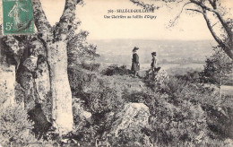 FRANCE - 72 - SILLE LE GUILLAUME - Une Clairière Au Taillis D'oigny - Carte Postale Ancienne - Sille Le Guillaume