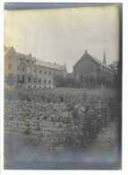 Dilbeek Groot-Bijgaarden    Seminarie Met Moestuin  Originele Foto 12-7-1908  (18x13 Cm) - Dilbeek