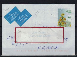 DITTRICHIA VISCOSA SUR LETTRE PRIORITAIRE D'ISRAEL ( Lot 374 ) - Lettres & Documents